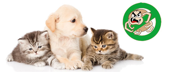 repellenti contro i parassiti cane e gatto